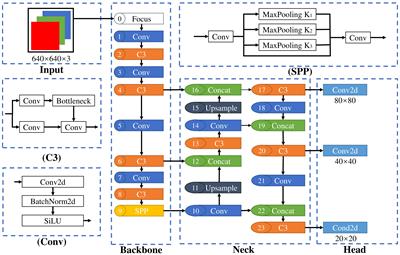 Quantitative detection algorithm for deep-sea megabenthic organisms based on improved YOLOv5